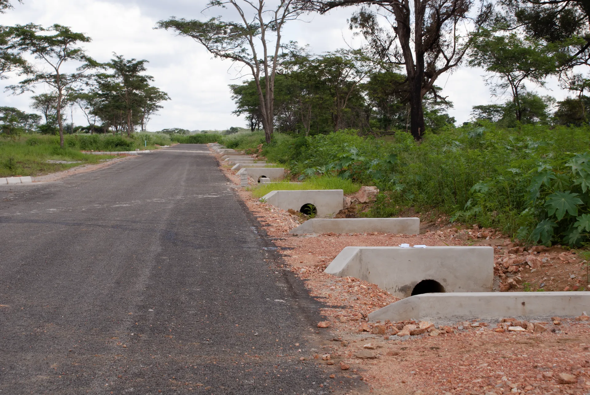 Bridgewood - Image 7