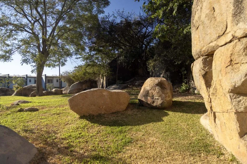 Halcyon Days - Image 2