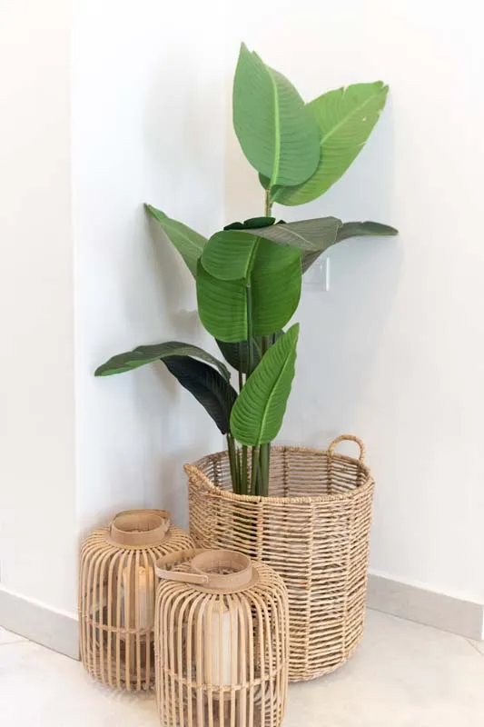 Halcyon Days - Image 9