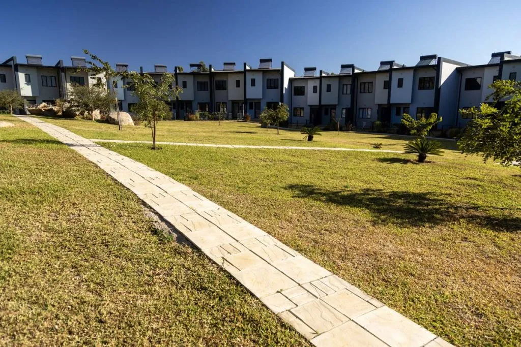 Halcyon Days - Image 14