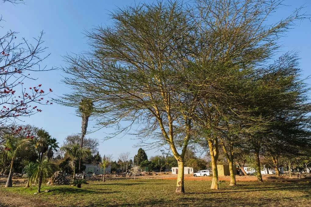 Peakwood Village - Image 3